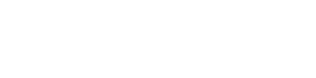 4connect logo white.